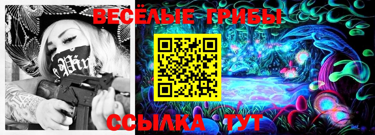 Галлюциногенные грибы Psilocybine cubensis  Вход с VPN  Анжеро-Судженск 