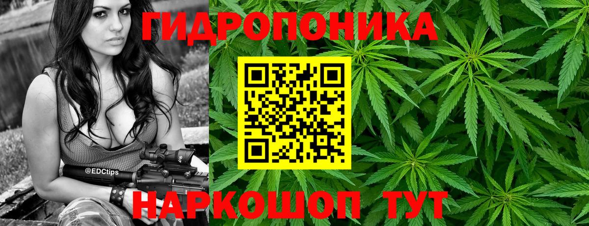 Шишки марихуана OG Kush Анжеро-Судженск